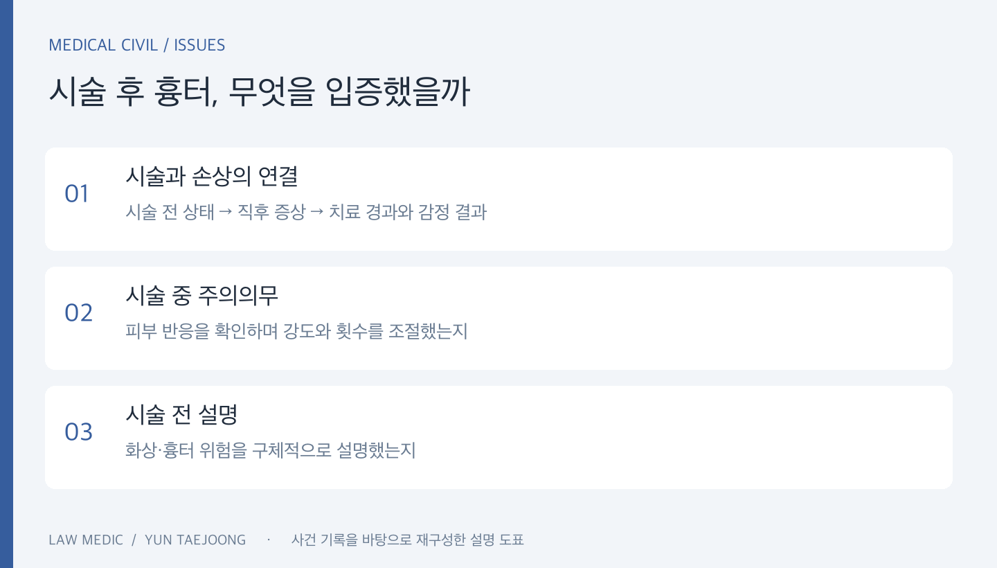 제가 제기한 핵심 쟁점: 손상과 시술의 관련성, 시술상 주의의무, 화상·흉터 위험의 설명.